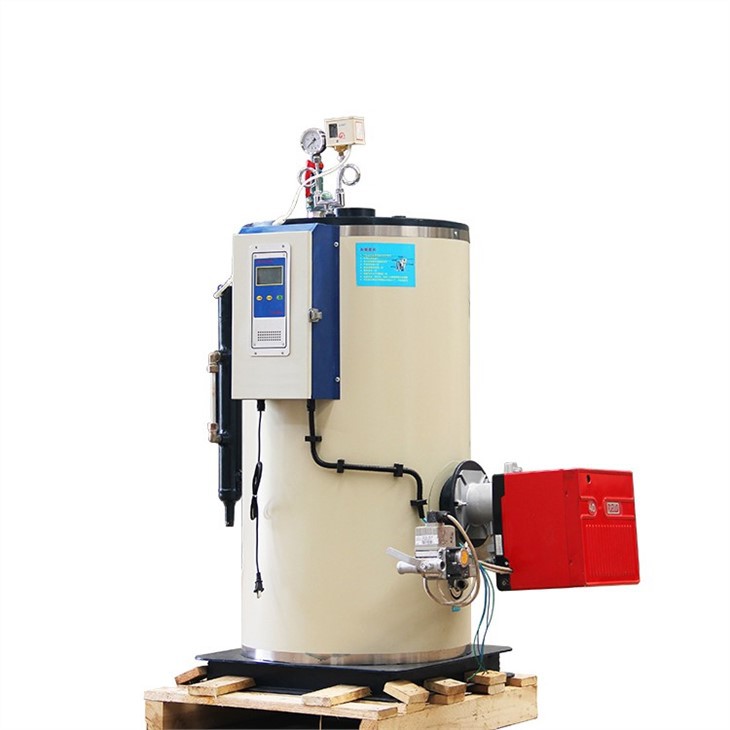 500kg Gas Induction Steam Generator